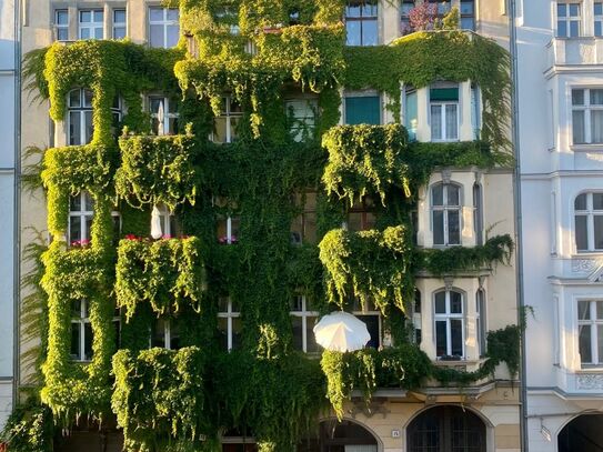 Liebevoll eingerichtetes und wunderschönes Studio in Prenzlauer Berg