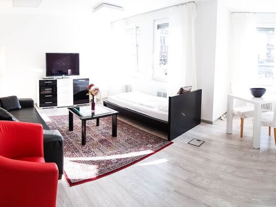 Great, new apartment (Heidelberg), Heidelberg - Amsterdam Apartments for Rent