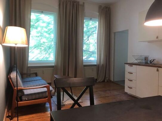 Beautiful and spacious studio near the park, Berlin - Amsterdam Apartments for Rent