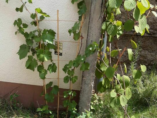 Stilvolle & liebevoll eingerichtete Wohnung auf Zeit