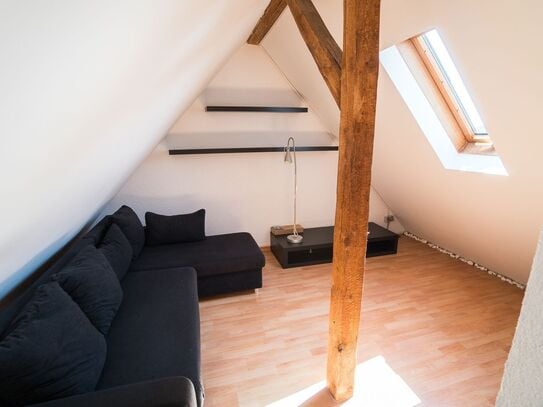 Full furnished fantastic & spacious 3 room appartment in Leinfelden Unteraichen