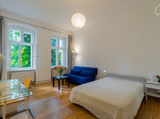 Cosy apartment in most wanted Prenzlauer berg, next to Kollwitzkiez