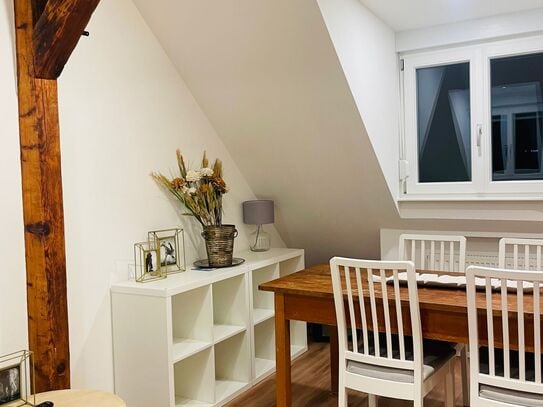 Cozy, gorgeous studio (Heidelberg), Heidelberg - Amsterdam Apartments for Rent