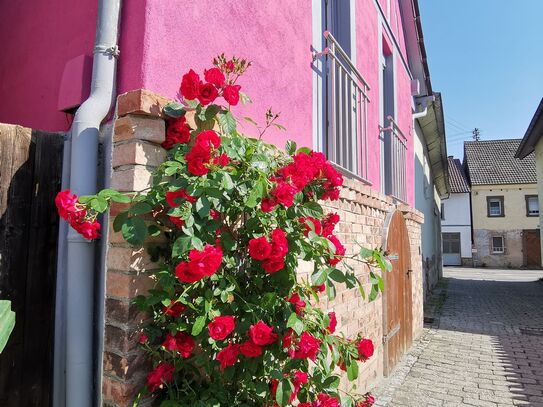 Liebevoll eingerichtetes Zuhause in Top-Lage