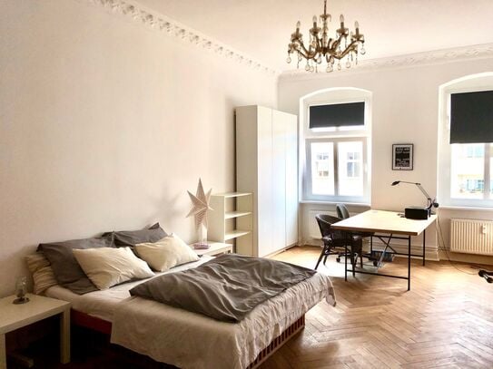 Cozy, spacious room in Mitte.