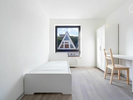 Gemütliches und helles Studenten-Apartment in Kiel