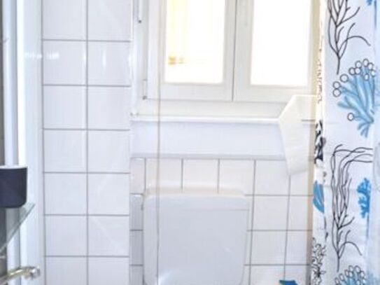 Bright Apartment In Sachsenhausen | With Bathtub And Small Garden Shared W/ Neighbors