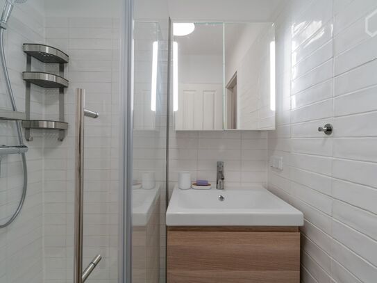 Great and fashionable home with the best location (Central Mitte), Berlin - Amsterdam Apartments for Rent