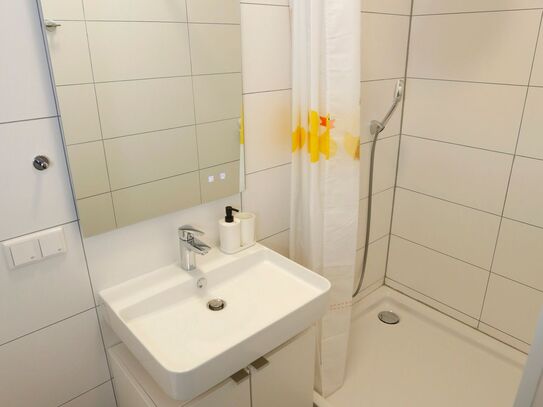 Great and charming studio, Frankfurt - Amsterdam Apartments for Rent