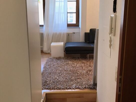 Spacious and new renovated flat in a historical buildung, conveniently located, Heidelberg - Amsterdam Apartments for R…