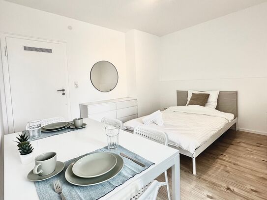 New and furnished Studio in the City Center