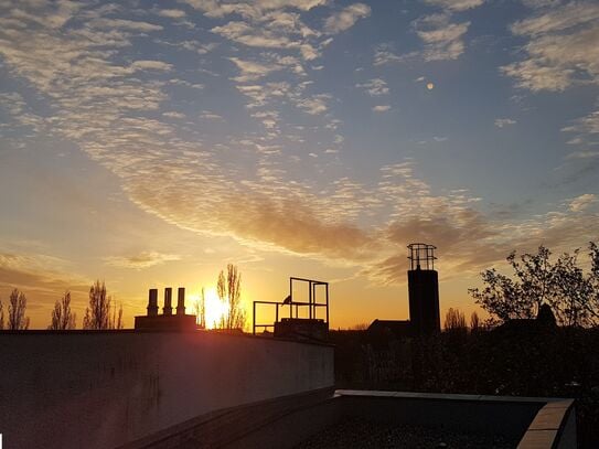 Stunning 4-room Penthouse in central North Berlin