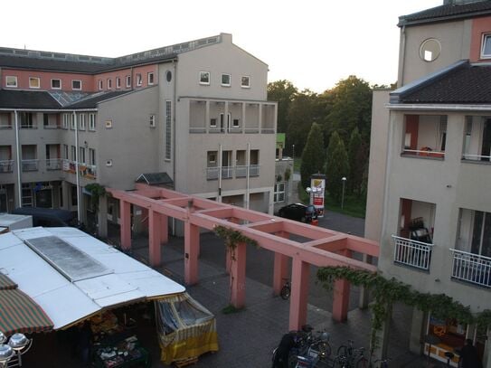 Quiet 1-room-Apt with big terrace and forest-view, Karlsruhe - Amsterdam Apartments for Rent