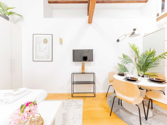 Beautifully Renovated Duplex with Mezzanine and Great Location in Paris