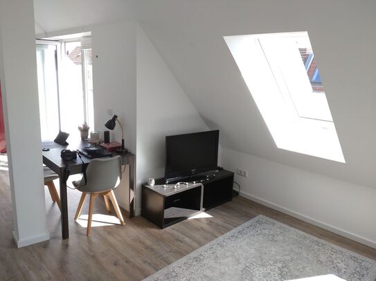 Fantastic rooftop apartment in Friedrichshain, Berlin - Amsterdam Apartments for Rent