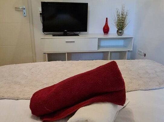 High quality furnished apartment in the best location of Braunschweig, Braunschweig - Amsterdam Apartments for Rent