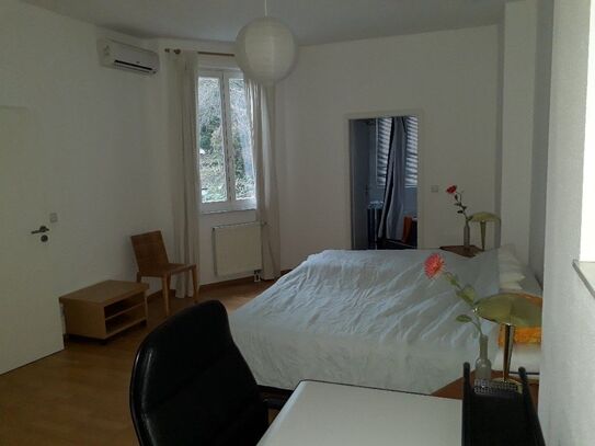 Cozy & quiet apartment (Karlsruhe)