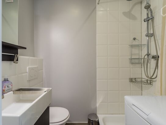 Fantastic apartment with excellent facilities in the middle of Prenzlauer Berg (Berlin)
