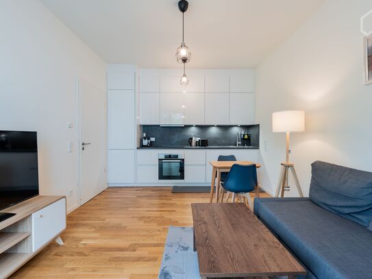 Modern, new, bright 1 bedroom apartment with balcony in Mitte