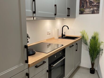 Frisch renovierte Innenstadt 1-Zi-Wohnung | Newly renovated City Center 1-Bedroom-Apartment