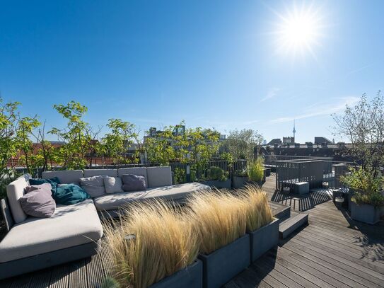 Exquisite Berlin City Center Penthouse: Luxury, Location, and Views., Berlin - Amsterdam Apartments for Rent