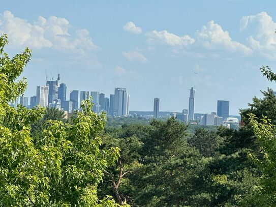 Helle 4-Zimmer-Wohnung mit Skyline- und Taunusblick in der Nähe der Europäischen Schule