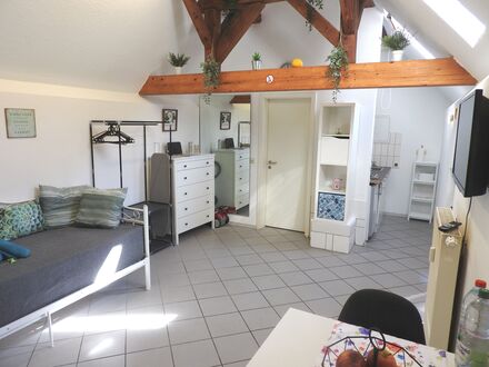 Schönes Apartment Nähe Weinstraße und Pfälzer Wald | Nice apartment near Weinstraße and Pfälzer Forest