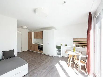 Möbliert 1-Raum-Wohnung mit Balkon und Einbauküche in Heilbronn | Furnished 1-room apartment with balcony and fitted ki…