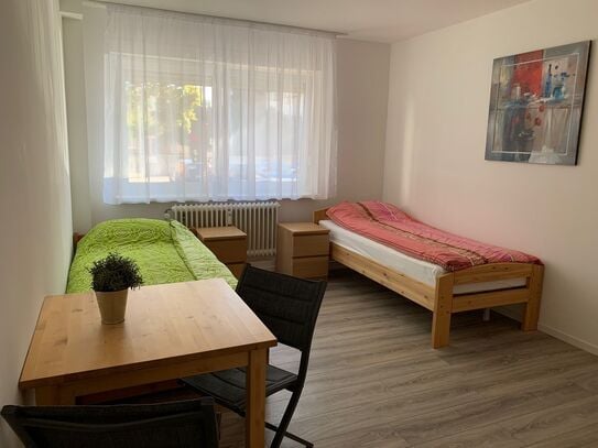 Furnished flat in Nuremberg or Füth