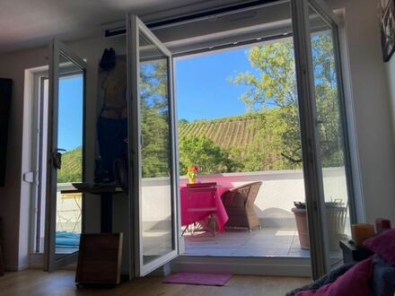 Schickes Studio, große Terrasse mit Blick auf die Weinberge auch für Pendler nach Luxemburg geeignet