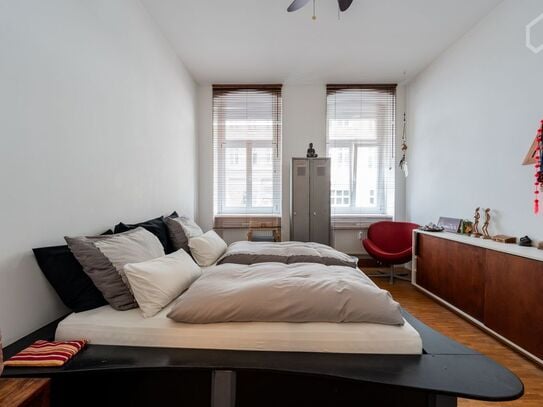 In the heart of Berlin Mitte area, in a quiet street, Berlin - Amsterdam Apartments for Rent