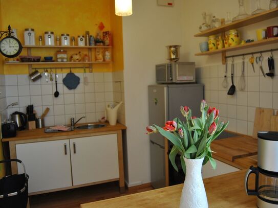 Fashionable studio (Mitte), Berlin - Amsterdam Apartments for Rent