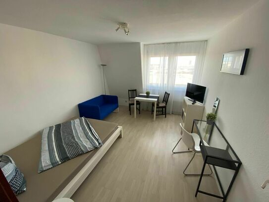 Neu-renoviertes Apartment in Mannheimer Innenstadt