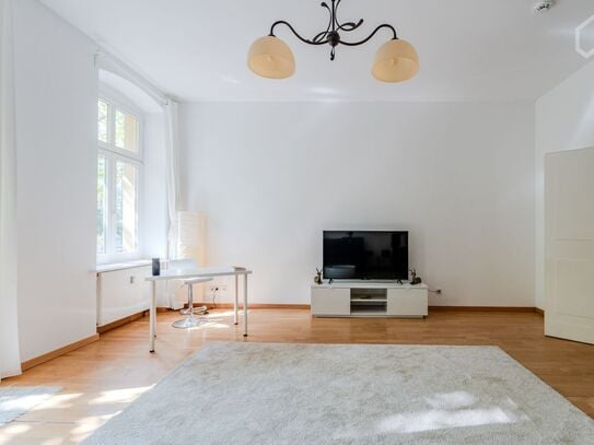 Stunning and Spacious in Mitte, Berlin - Amsterdam Apartments for Rent