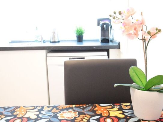 ❣City Center Apartment Near Nightlife & Shopping, Dusseldorf - Amsterdam Apartments for Rent