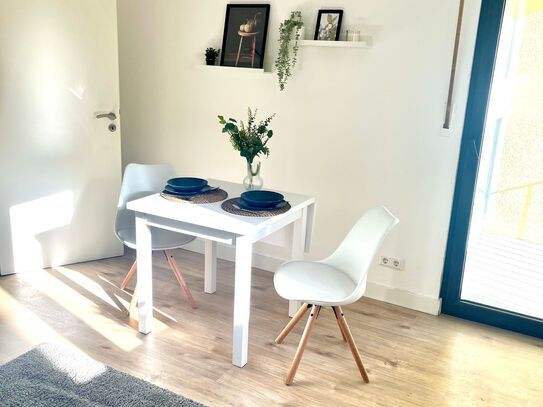 Modern and fully furnished apartment in the heart of Karlsruhe