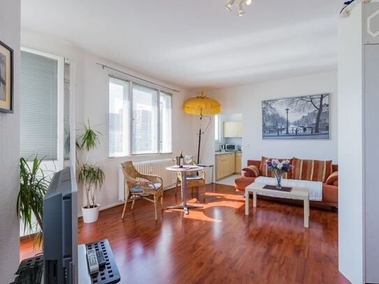 Bright, lovely decorated apartment in Friedenau, Berlin - Amsterdam Apartments for Rent