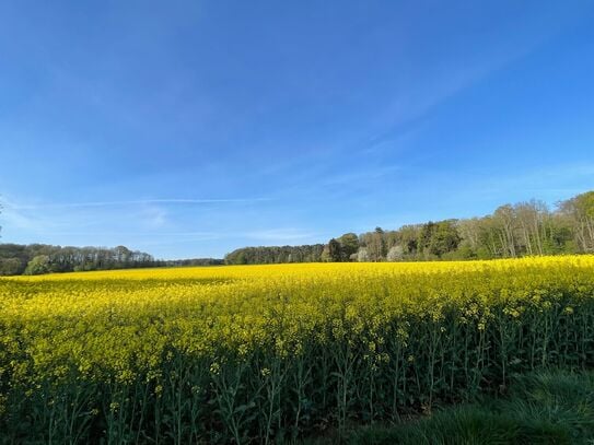 Large flat on the edge of the forest with large garden and good connection to the city center of bonn