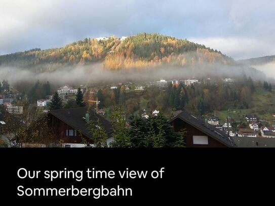 Cozy flat in Bad Wildbad