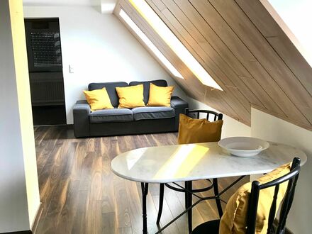 Großartige, häusliche Wohnung auf Zeit mit guter Verkehrsanbindung | Wonderful and spacious studio conveniently located
