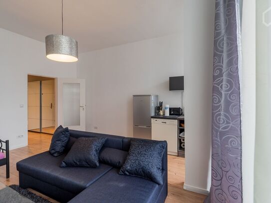 Great flat in Mitte (Berlin)/Potsdamer Platz, Berlin - Amsterdam Apartments for Rent