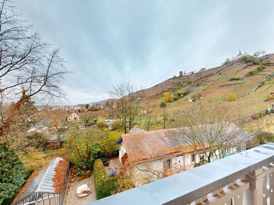 Traumhafte Dachgeschosswohnung mit Weit- und Weinbergblick