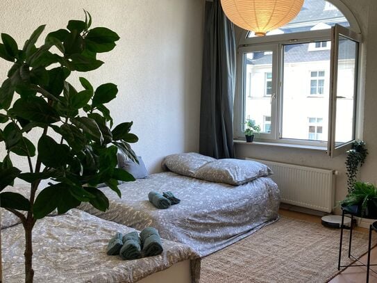 Efficient beautiful apartment, 8min bus central station (Wuppertal)