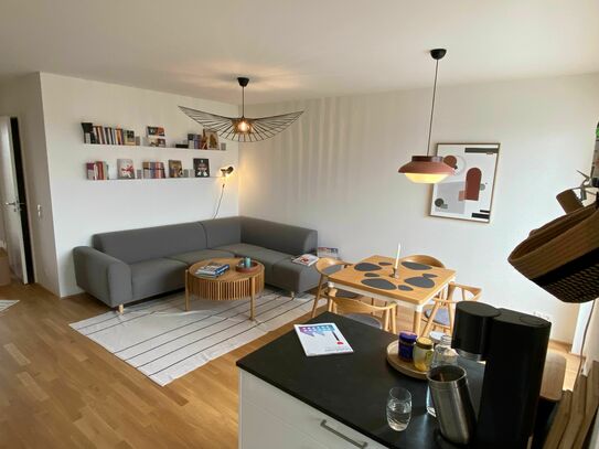 Cosy newly built low-energy penthouse appartment in Frankfurt West/Bockenheim