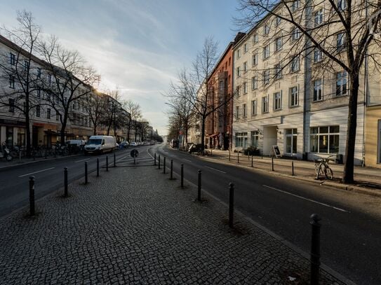 Cozy luxury flat in the heart of Berlin-Mitte