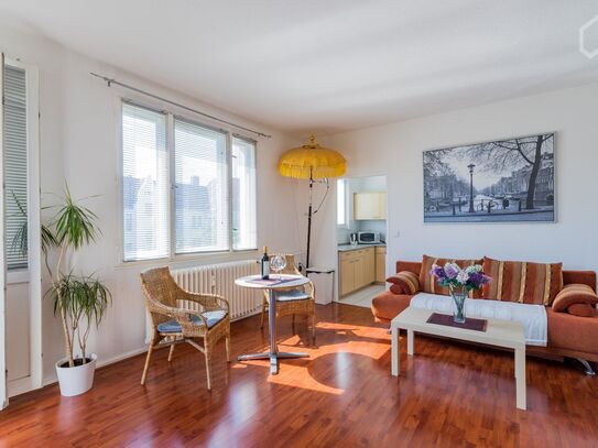 Bright, lovely decorated apartment in Friedenau, Berlin - Amsterdam Apartments for Rent