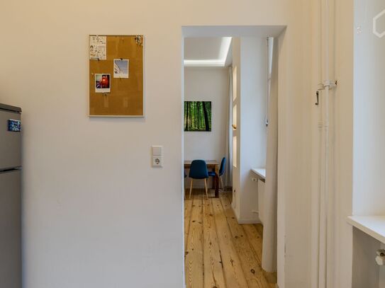 Newly renovated Altbau loft in fantastic neighborhood, Berlin - Amsterdam Apartments for Rent