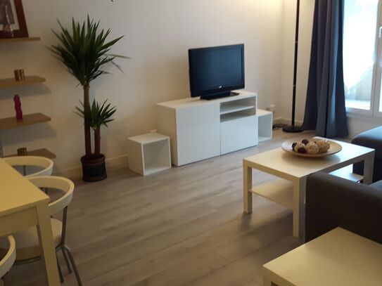 Neat & cute Full furnish apartment Paris 11eme