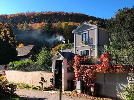 Gemütliches und stilvolles Zuhause im Herzen der Stadt (Neuhaus)