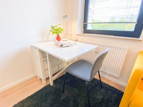 Newly renovated and furnished cozy apartment in Mainz